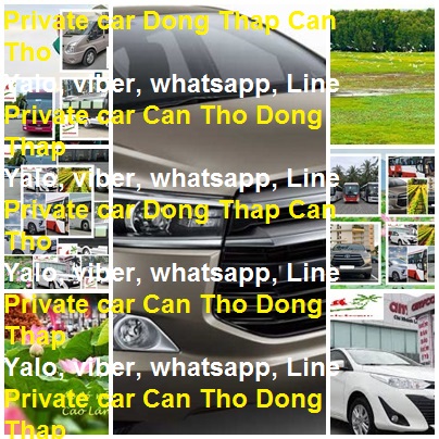 Private Car Dong Thap Can Tho