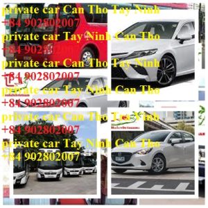Private Car Can Tho Tay Ninh