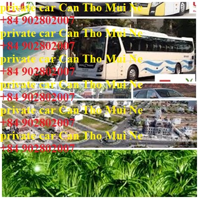 private car Can Tho Mui Ne