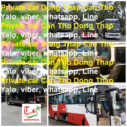 Private Car Dong Thap Can Tho