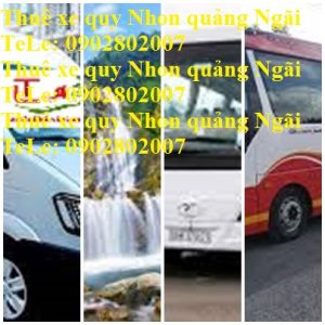 Thue Xe Quy Nhon Quang Ngai