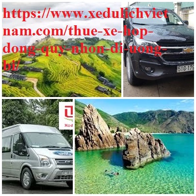 Thue Xe Quy Nhon Uong Bi