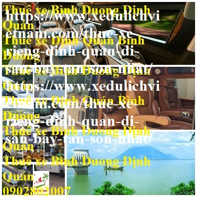 Thue Xe Dinh Quan Tan Son Nhat