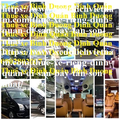 Thue Xe Dinh Quan Tan Son Nhat