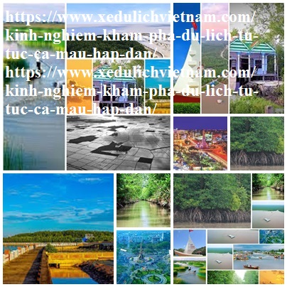Kinh Nghiem Du Lich Ca Mau