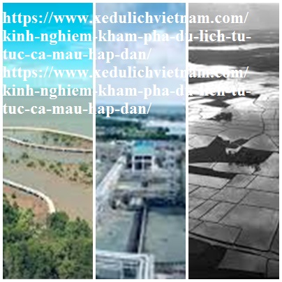 Kinh Nghiem Du Lich Ca Mau