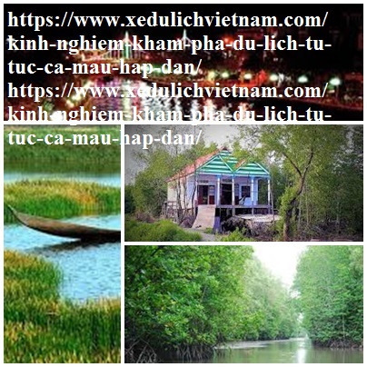 Kinh Nghiem Du Lich Ca Mau
