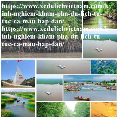 Kinh Nghiem Du Lich Ca Mau