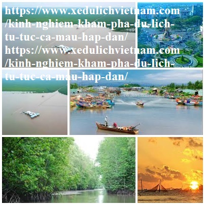 Kinh Nghiem Du Lich Ca Mau