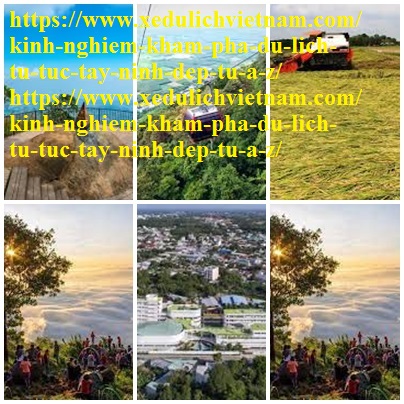 Kinh Nghiem Du Lich Tay Ninh