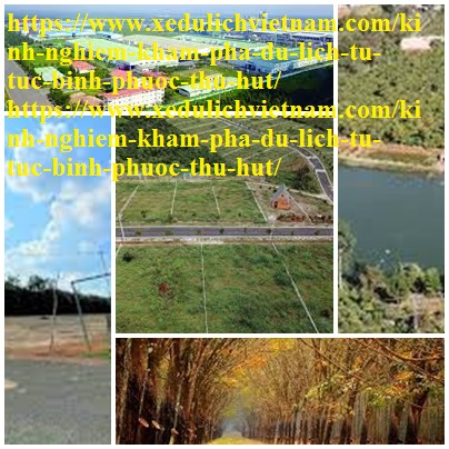Kinh Nghiem Du Lich Binh Phuoc