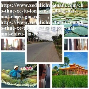 Thue Xe Long An Dong Nai