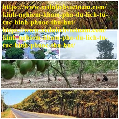 Kinh Nghiem Du Lich Binh Phuoc