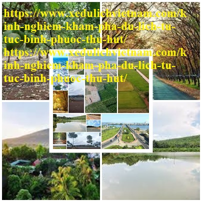 Kinh Nghiem Du Lich Binh Phuoc