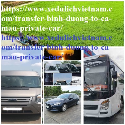 Private Car Binh Duong Ca mau