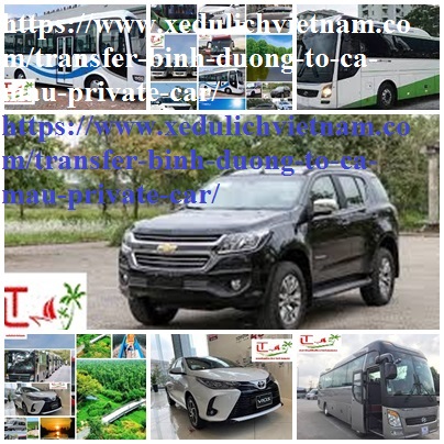 Private Car Binh Duong Ca mau
