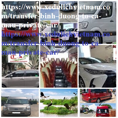 Private Car Binh Duong Ca mau