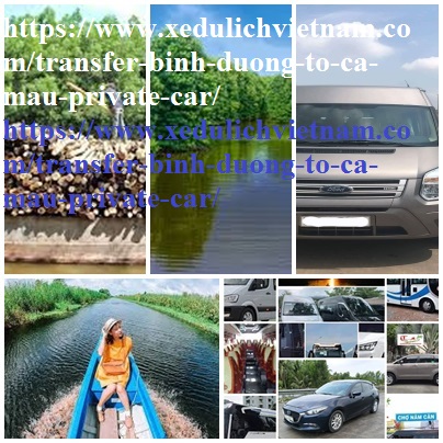 Private Car Binh Duong Ca mau