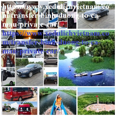 Private Car Binh Duong Ca mau