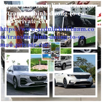 Private Car Binh Duong Ca mau