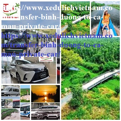 Private Car Binh Duong Ca mau