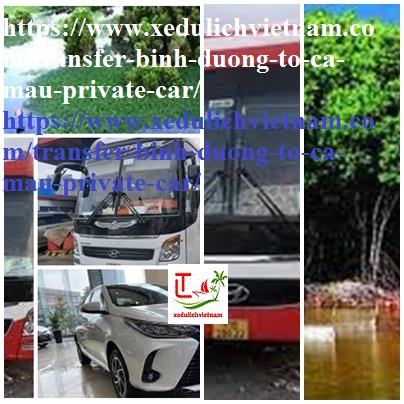 Private Car Binh Duong Ca mau