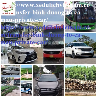 Private Car Binh Duong Ca mau