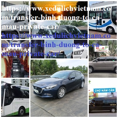 Private Car Binh Duong Ca mau