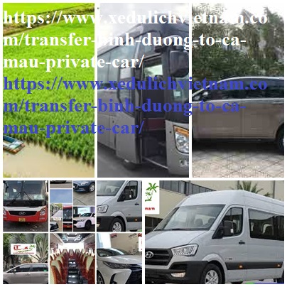 Private Car Binh Duong Ca mau
