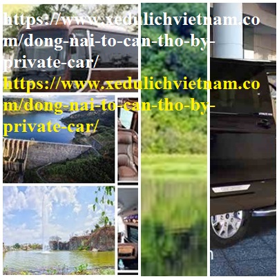 Private car Dong Nai Can THo
