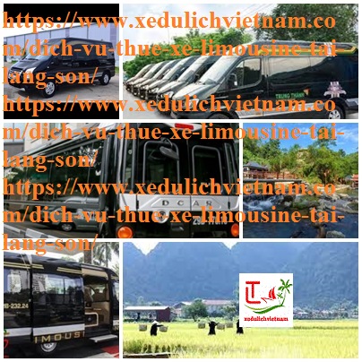 thuê xe limousine lang son