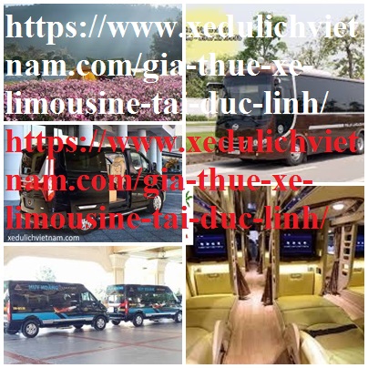 thue xe limousine duc linh