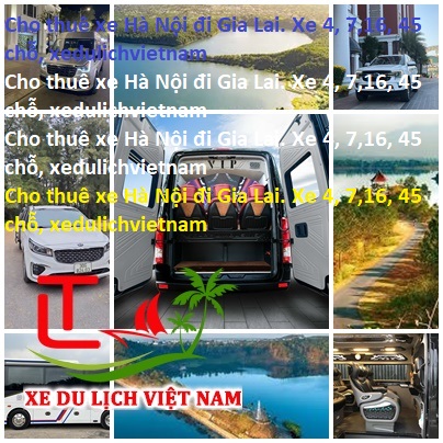 Thue Xe Ha Noi Gialai