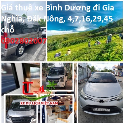 Thue Xe Binh Duong Gia Nghia