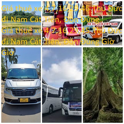 Thue Xe Thu Duc Cat Tien