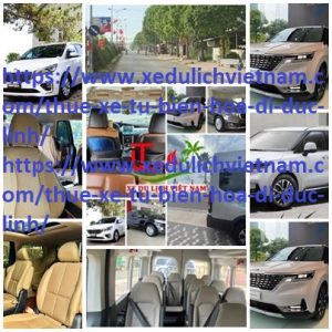 Thue Xe Bien Hoa Duc Linh
