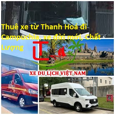 Dteew