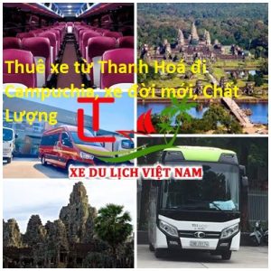 U6t