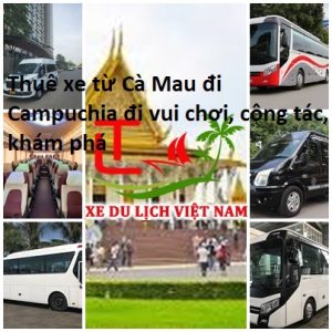 xedulihvietnam