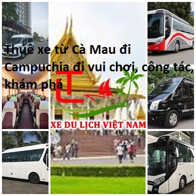 xedulihvietnam
