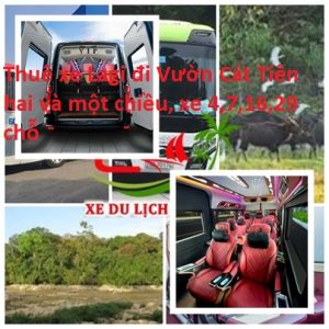 Thue Xe Lagi Cat Tien