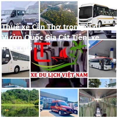 Thue Xe Can Tho Cat Tien