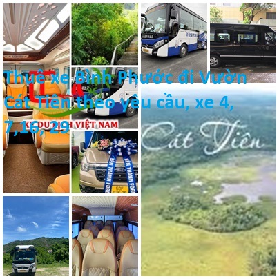 Thue Xe Binh Phuoc Cat Tien