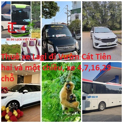 Thue Xe Lagi Cat Tien