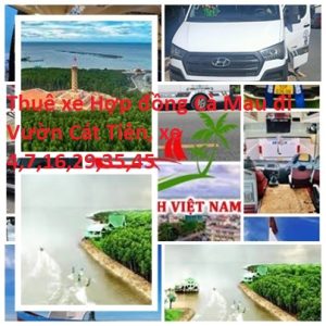 Thue Xe Ca Mau Cat Tien