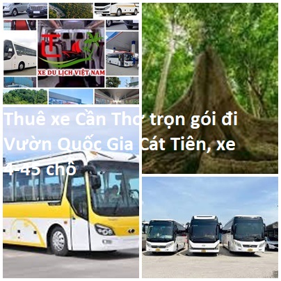 Thue Xe Can Tho Cat Tien