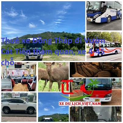 Thue Xe Dong Thap Cat Tien