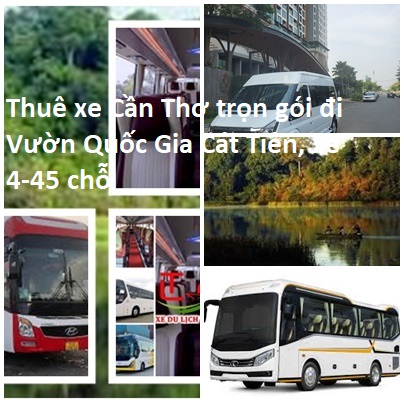 Thue Xe Can Tho Cat Tien