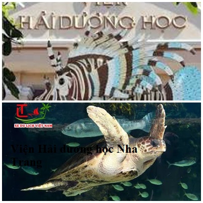 địa điểm tham quan Nha Trang